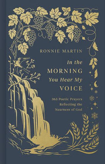Picture of In the Morning You Hear My Voice