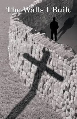 Picture of The Walls I Built