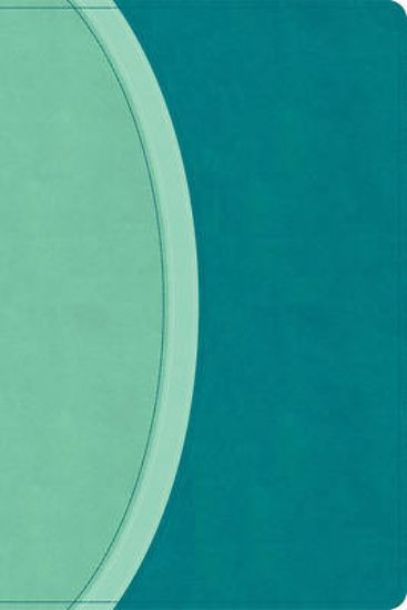 Picture of CSB Rainbow Study Bible, Teal Leathertouch (Limited Edition)