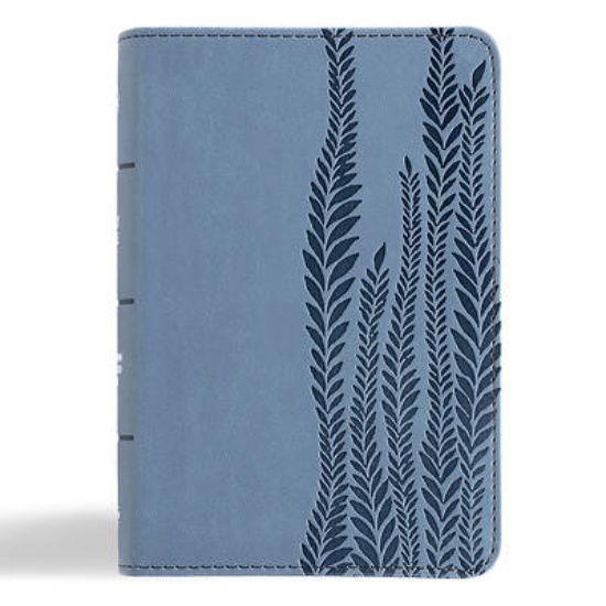 Picture of CSB Large Print Compact Reference Bible, Digital Study Edition, Slate Leathertouch