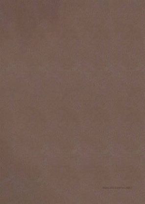 Picture of The Barbour Simplified KJV Bible--Deluxe Edition [Brown & Rose Floral Inset]