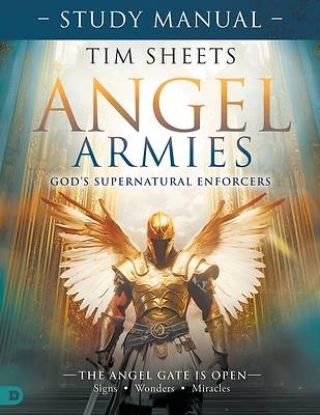Picture of Angel Armies