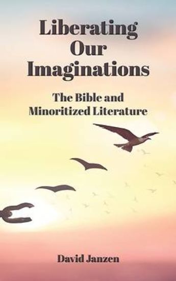 Picture of Liberating Our Imaginations