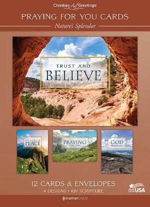 Picture of Praying for You Nature's Splendor - Box of 12
