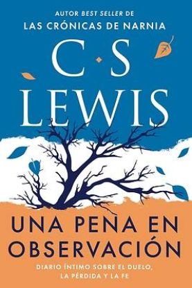 Picture of Una Pena En Observación