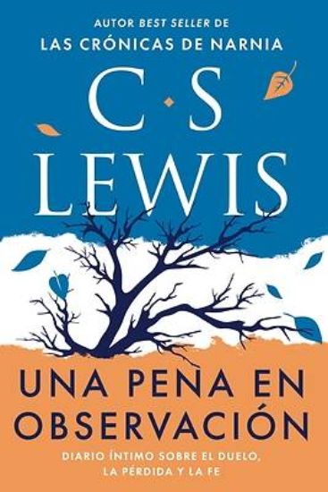 Picture of Una Pena En Observación