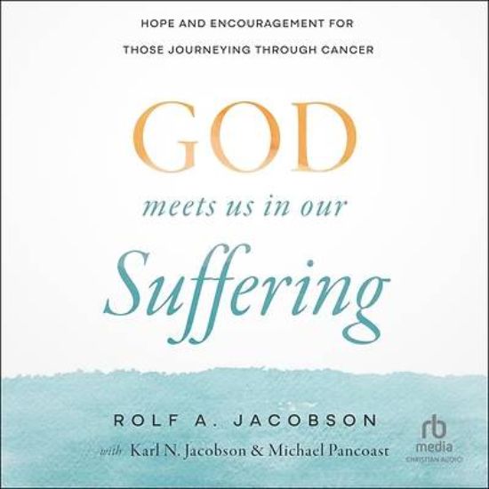 Picture of God Meets Us in Our Suffering