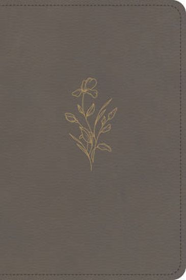 Picture of KJV Large Print Compact Reference Bible, Clay Leathertouch