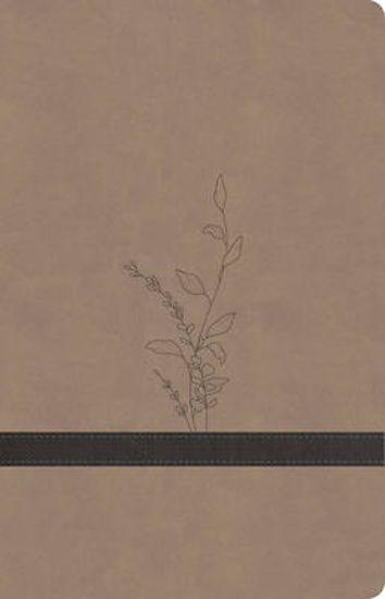 Picture of KJV Large Print Personal Size Reference Bible, Earthen Suedesoft Leathertouch