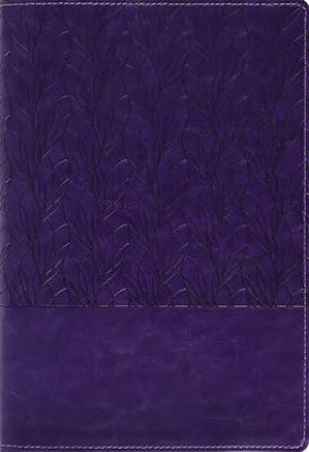 Picture of Amplified Holy Bible, Large Print, Leathersoft, Purple
