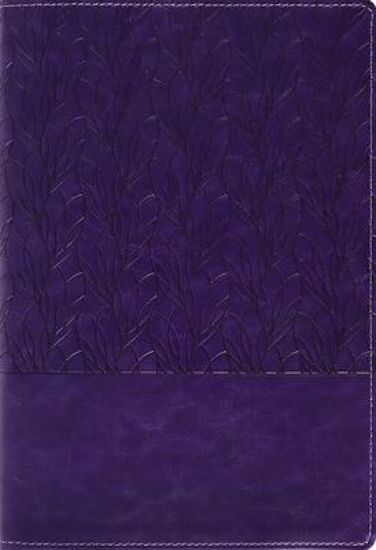 Picture of Amplified Holy Bible, Large Print, Leathersoft, Purple