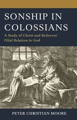 Picture of Sonship in Colossians