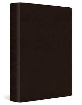 Picture of ESV Giant Print Bible (Trutone, Deep Brown)