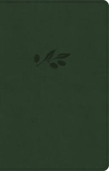 Picture of NASB Large Print Personal Size Reference Bible, Olive Leathertouch Indexed