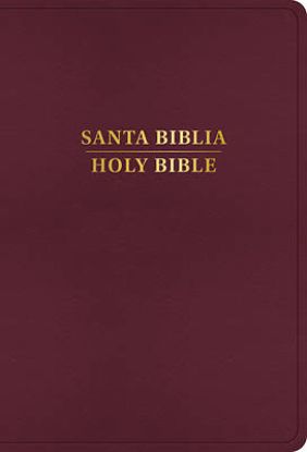Picture of Rvr 1960/KJV Biblia Bilingüe Letra Grande, Borgoña Imitación Piel, Con Índice (2024 Ed.)