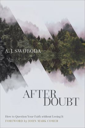 Picture of After Doubt
