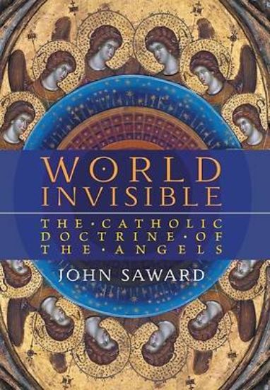 Picture of World Invisible