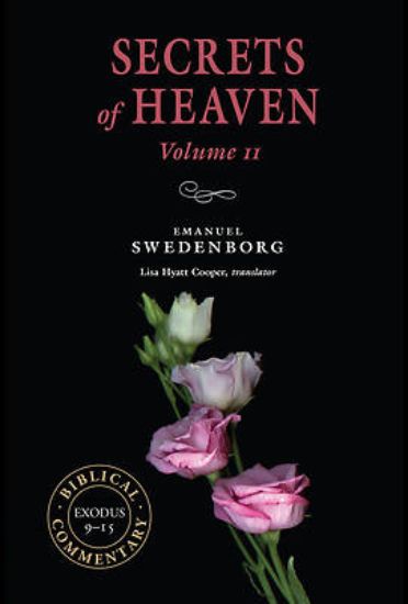 Picture of Secrets of Heaven Volume 11