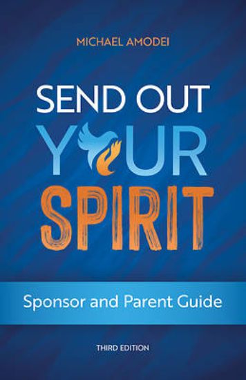 Picture of Send Out Your Spirit Sponsor and Parent Guide