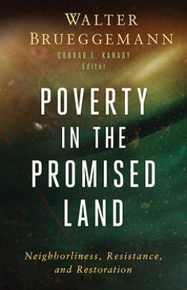 Picture of Poverty in the Promised Land