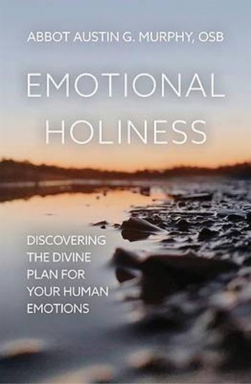 Picture of Emotional Holiness