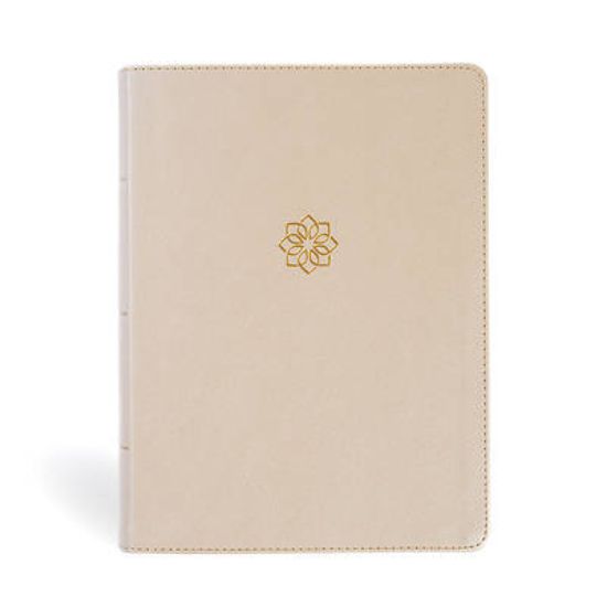 Picture of CSB Study Bible, Large Print, Digital Study Edition, Gold Leathertouch