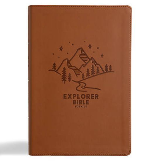 Picture of KJV Explorer Bible for Kids, Brown Leathertouch