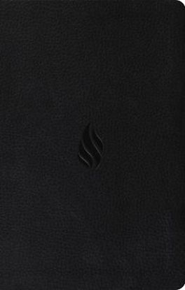Picture of ESV Premium Gift Bible, Red Letter (Trutone, Midnight, Flame Design)