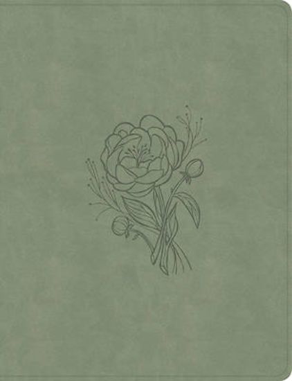 Picture of KJV Notetaking Bible, Large Print Edition, Sage Suedesoft Leathertouch
