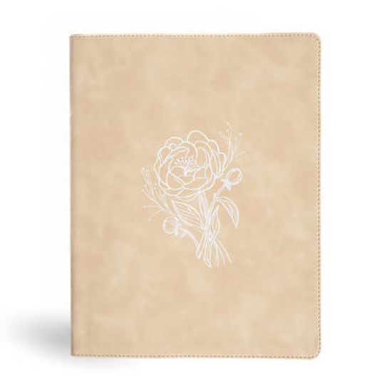 Picture of CSB Illustrator's Notetaking Bible, Large Print Edition, Cream Leathertouch