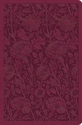 Picture of ESV Value Compact Bible (Trutone, Raspberry, Floral Design)