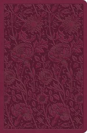Picture of ESV Value Compact Bible (Trutone, Raspberry, Floral Design)