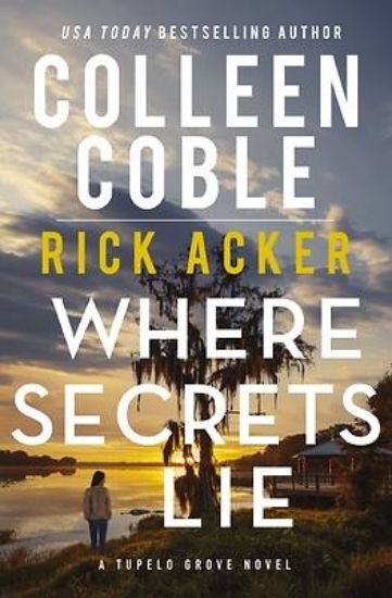Picture of Where Secrets Lie
