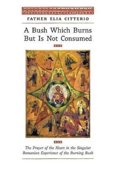 Picture of A Bush Which Burns But Is Not Consumed