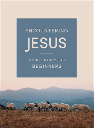 Picture of Encountering Jesus
