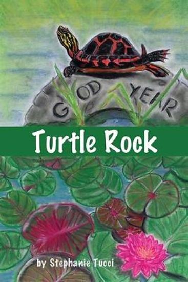 Picture of Turtle Rock