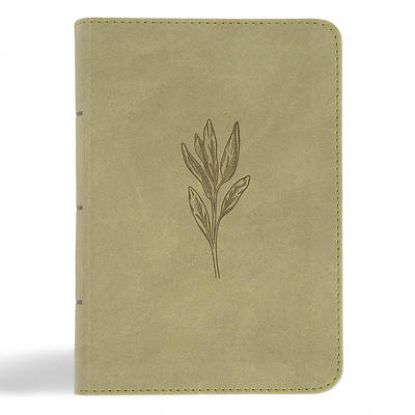 Picture of NASB Large Print Compact Reference Bible, Sage Suedesoft Leathertouch