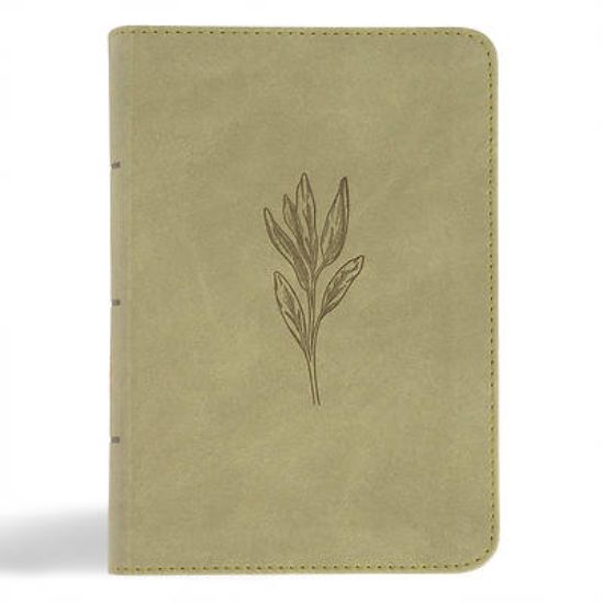Picture of NASB Large Print Compact Reference Bible, Sage Suedesoft Leathertouch