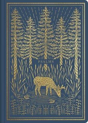 Picture of ESV Illuminated Scripture Journal