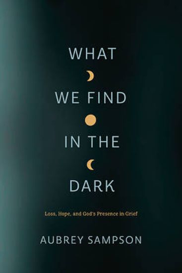 Picture of What We Find in the Dark