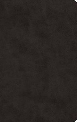 Picture of ESV Large Print Value Thinline Bible (Trutone, Black)
