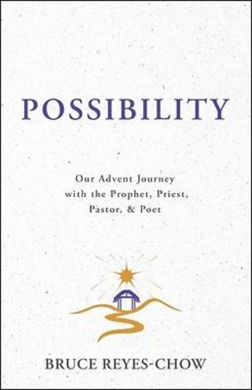 Picture of Possibility