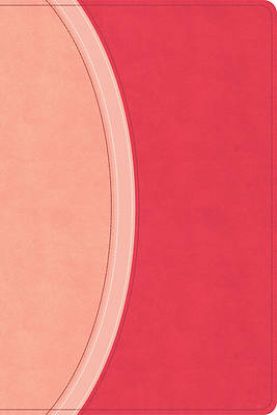 Picture of CSB Rainbow Study Bible, Pink Leathertouch (Limited Edition)