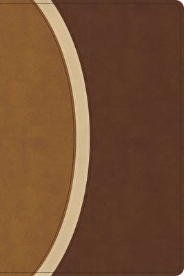 Picture of CSB Rainbow Study Bible, Brown Leathertouch (Limited Edition)