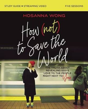 Picture of How (Not) to Save the World