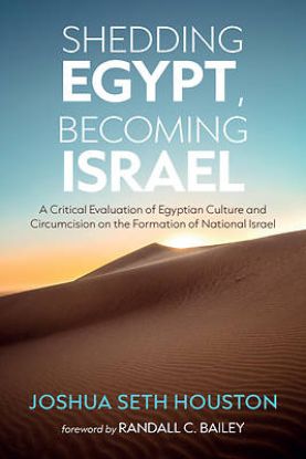 Picture of Shedding Egypt, Becoming Israel