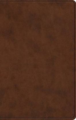 Picture of ESV Premium Gift Bible, Red Letter (Trutone, Brown)