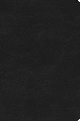 Picture of ESV Value Compact Bible (Trutone, Black)