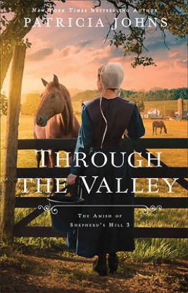 Picture of Through the Valley