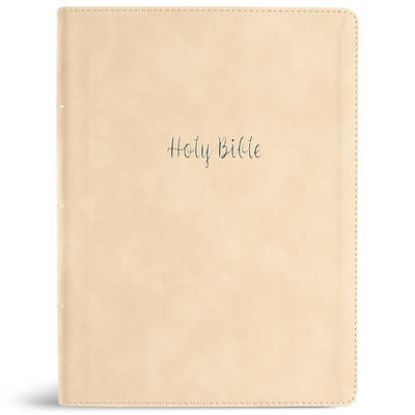 Picture of CSB Verse-By-Verse Reference Bible, Digital Study Edition, Cream Leathertouch